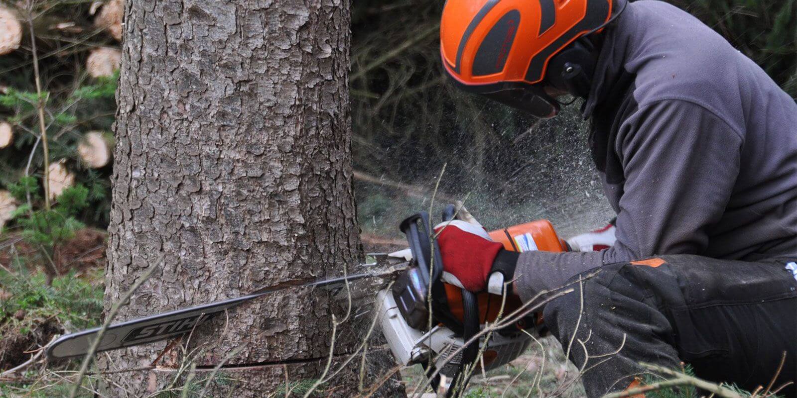 Forstbekleidung für Wald, Landwirtschaft- und Outdoor Work