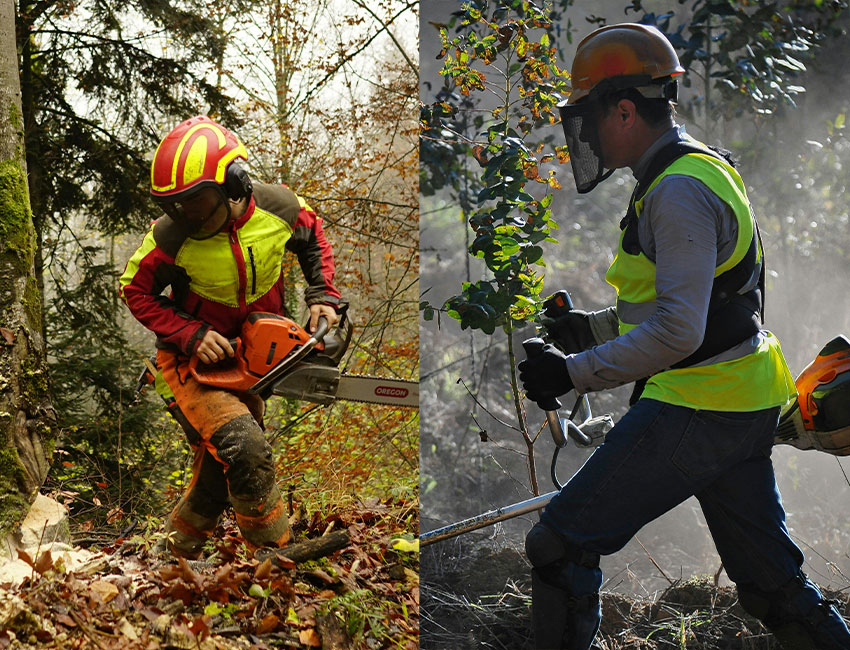Forstbekleidung für Damen und Herren – Sicherheit, Komfort und Funktionalität im Wald