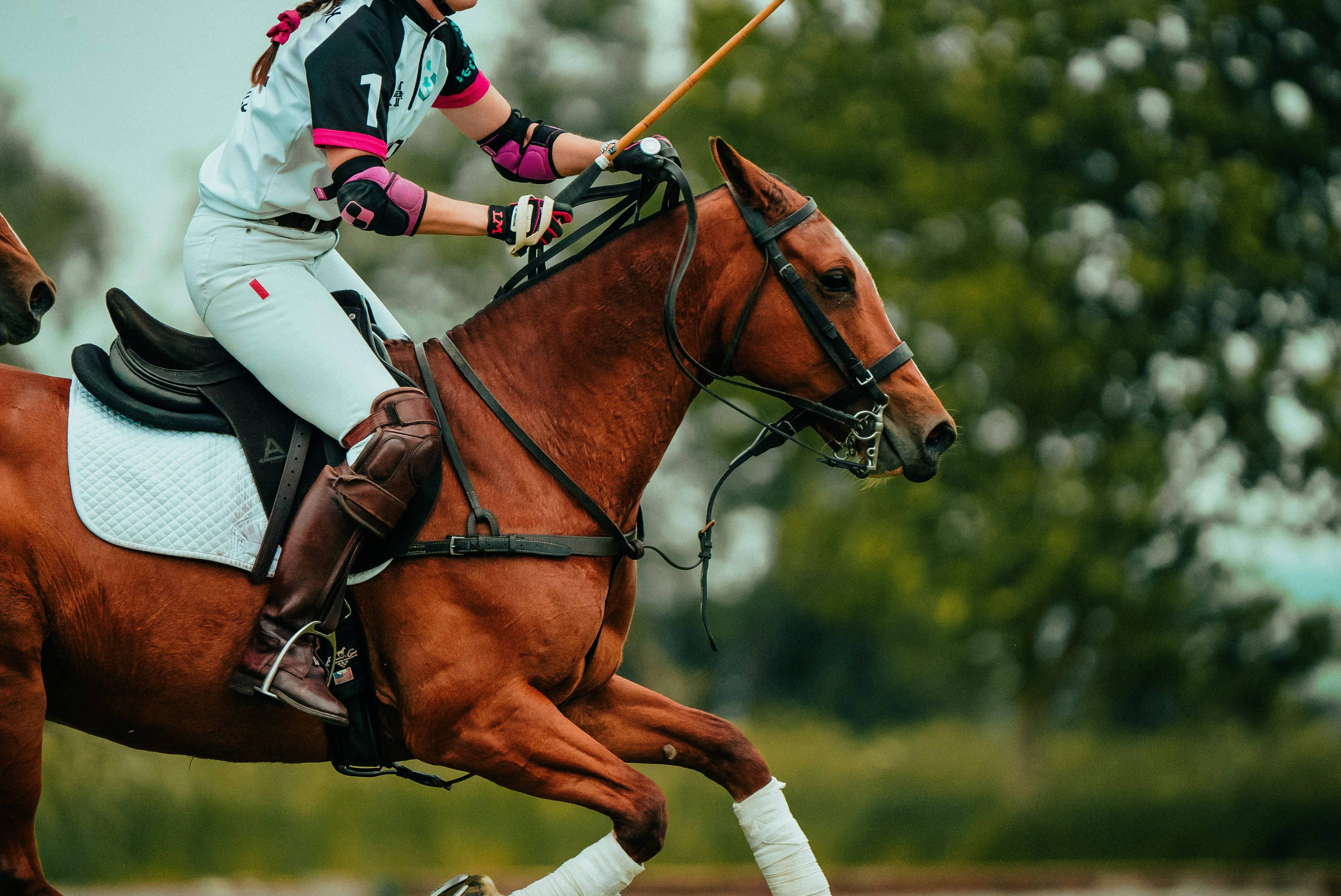 Professionelle Teamausstattung für den Reitsport – Mit Stil und Funktionalität