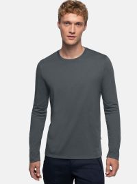 Herren Longsleeve Grau