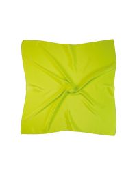 Silk Scarf 53x53 cm