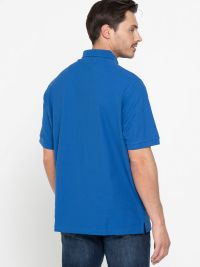 Günstiges Herren Poloshirt in Blau mit klassischem Polokragen, Knopfleiste und Rippstrickbündchen, ideal für Beruf und Freizeit