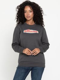 Graues Unisex Sweatshirt Colorado – pflegeleicht, warm, 60°C waschbar, ideal für Beruf & Teamwear