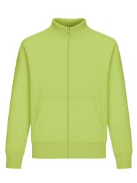 Grüne Stehkragen-Sweatjacke, gerade geschnitten, mit Stehkragen und Seitentaschen